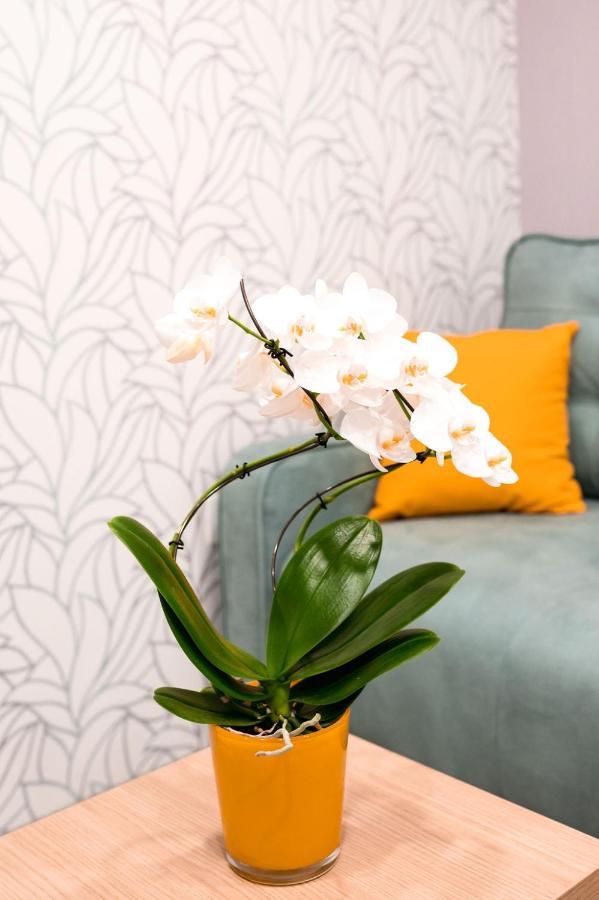 Epi - Edina Prava Izbira Apartment Izola Ngoại thất bức ảnh